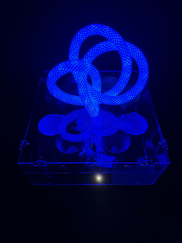 kn. blue dark
